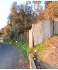 Vendita Agricolo in via IV Novembre Vendita Agricolo in via IV Novembre