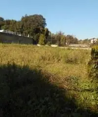 Affitto Agricolo in Via Spinelli Affitto Agricolo in Via Spinelli