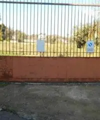 Affitto Agricolo in Via Spinelli Affitto Agricolo in Via Spinelli