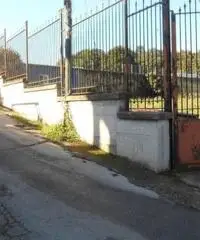 Affitto Agricolo in Via Spinelli Affitto Agricolo in Via Spinelli