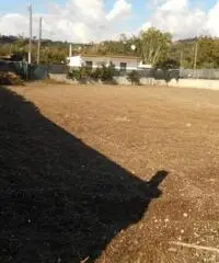 Affitto Agricolo in Via Marmolito Affitto Agricolo in Via Marmolito