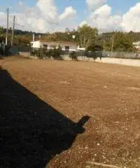 Affitto Agricolo in Via Marmolito Affitto Agricolo in Via Marmolito