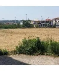 Vendita Agricolo in Via Masullo Vendita Agricolo in Via Masullo