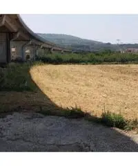 Vendita Agricolo in Via Masullo Vendita Agricolo in Via Masullo