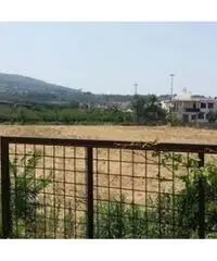 Vendita Agricolo in Via Masullo Vendita Agricolo in Via Masullo