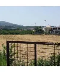 Vendita Agricolo in Via Masullo Vendita Agricolo in Via Masullo