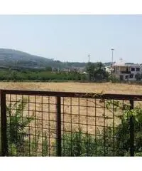 Vendita Agricolo in Via Masullo Vendita Agricolo in Via Masullo