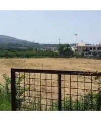Vendita Agricolo in Via Masullo Vendita Agricolo in Via Masullo