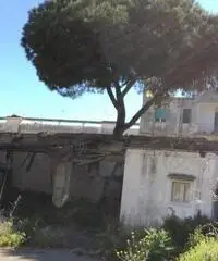 RifITI 024-AAV 60 - Rustico/Casale/Corte in Vendita a Giugliano in Campania di 150 mq RifITI 024-AAV 60 - Rustico/Casale/Corte in Vendita a Giugliano in Campania di 150 mq