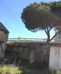 RifITI 024-AAV 60 - Rustico/Casale/Corte in Vendita a Giugliano in Campania di 150 mq RifITI 024-AAV 60 - Rustico/Casale/Corte in Vendita a Giugliano in Campania di 150 mq