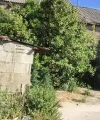 RifITI 024-AAV 60 - Rustico/Casale/Corte in Vendita a Giugliano in Campania di 150 mq RifITI 024-AAV 60 - Rustico/Casale/Corte in Vendita a Giugliano in Campania di 150 mq
