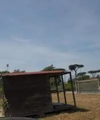 RifITI 013-AA25575 - Terreno Agricolo in Affitto a Giugliano in Campania - Varcaturo di 1700 mq