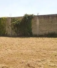 RifITI 013-AA25575 - Terreno Agricolo in Affitto a Giugliano in Campania - Varcaturo di 1700 mq