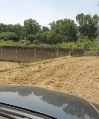 RifITI 013-AA25575 - Terreno Agricolo in Affitto a Giugliano in Campania - Varcaturo di 1700 mq