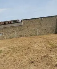 RifITI 013-AA25575 - Terreno Agricolo in Affitto a Giugliano in Campania - Varcaturo di 1700 mq