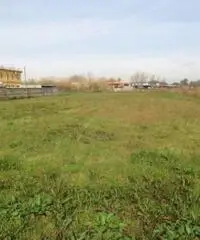 Lido Di Licola: Vendita Agricolo in Via Domitiana Lido Di Licola: Vendita Agricolo in Via Domitiana
