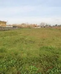 Lido Di Licola: Vendita Agricolo in Via Domitiana Lido Di Licola: Vendita Agricolo in Via Domitiana