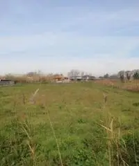 Lido Di Licola: Vendita Agricolo in Via Domitiana Lido Di Licola: Vendita Agricolo in Via Domitiana