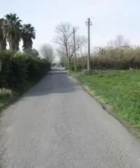 Lido Di Licola: Vendita Agricolo in Via Domitiana Lido Di Licola: Vendita Agricolo in Via Domitiana
