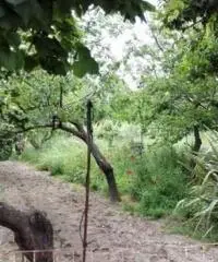 terreno agricolo 2100mq e casa indipendente 120mq terreno agricolo 2100mq e casa indipendente 120mq