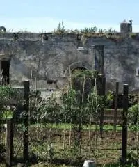 Vendita Multilocale in Via Privata Cigliano Vendita Multilocale in Via Privata Cigliano