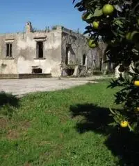 Vendita Multilocale in Via Privata Cigliano Vendita Multilocale in Via Privata Cigliano