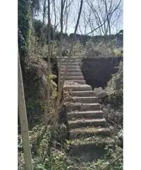 Vendita Edificabile residenziale in Via Antiniana