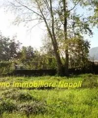 Arco Felice: Vendita Agricolo in Strada Provinciale Arco Felice Vecchio Arco Felice: Vendita Agricolo in Strada Provinciale Arco Felice Vecchio