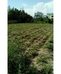 RifITI 027-930 - Terreno Agricolo in Vendita a Sant'Antimo di 1200 mq RifITI 027-930 - Terreno Agricolo in Vendita a Sant'Antimo di 1200 mq