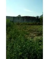RifITI 027-930 - Terreno Agricolo in Vendita a Sant'Antimo di 1200 mq RifITI 027-930 - Terreno Agricolo in Vendita a Sant'Antimo di 1200 mq