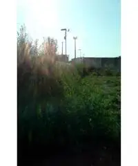 RifITI 027-930 - Terreno Agricolo in Vendita a Sant'Antimo di 1200 mq RifITI 027-930 - Terreno Agricolo in Vendita a Sant'Antimo di 1200 mq