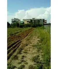 RifITI 027-930 - Terreno Agricolo in Vendita a Sant'Antimo di 1200 mq RifITI 027-930 - Terreno Agricolo in Vendita a Sant'Antimo di 1200 mq