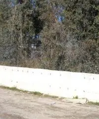 RifITI 027-430 - Terreno  Residenziale in Vendita a Sant'Antimo di 1320 mq RifITI 027-430 - Terreno  Residenziale in Vendita a Sant'Antimo di 1320 mq