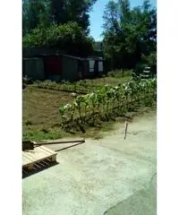 RifITI 027-SU931 - Terreno Agricolo in Vendita a Sant'Antimo di 800 mq RifITI 027-SU931 - Terreno Agricolo in Vendita a Sant'Antimo di 800 mq
