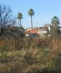 RifITI 019-21610 - Terreno Agricolo in Vendita a Qualiano di 3000 mq RifITI 019-21610 - Terreno Agricolo in Vendita a Qualiano di 3000 mq