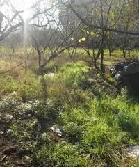 RifITI 019-21610 - Terreno Agricolo in Vendita a Qualiano di 3000 mq RifITI 019-21610 - Terreno Agricolo in Vendita a Qualiano di 3000 mq