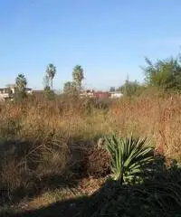 RifITI 019-21610 - Terreno Agricolo in Vendita a Qualiano di 3000 mq RifITI 019-21610 - Terreno Agricolo in Vendita a Qualiano di 3000 mq
