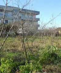 RifITI 019-21610 - Terreno Agricolo in Vendita a Qualiano di 3000 mq RifITI 019-21610 - Terreno Agricolo in Vendita a Qualiano di 3000 mq