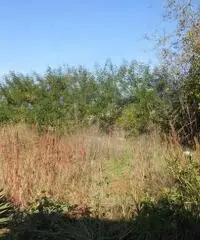 RifITI 019-21610 - Terreno Agricolo in Vendita a Qualiano di 3000 mq RifITI 019-21610 - Terreno Agricolo in Vendita a Qualiano di 3000 mq