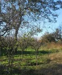 RifITI 019-21610 - Terreno Agricolo in Vendita a Qualiano di 3000 mq RifITI 019-21610 - Terreno Agricolo in Vendita a Qualiano di 3000 mq