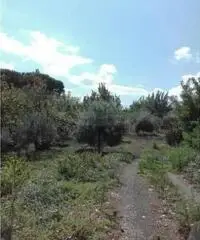 Vendita Agricolo da 423mq