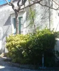 Vendita Monolocale in via villanova Vendita Monolocale in via villanova