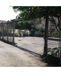 Vendita Agricolo in Via IV Orologi Vendita Agricolo in Via IV Orologi