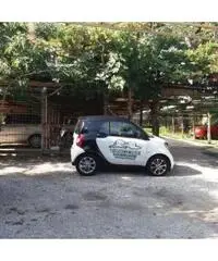 Vendita Agricolo in Via IV Orologi Vendita Agricolo in Via IV Orologi