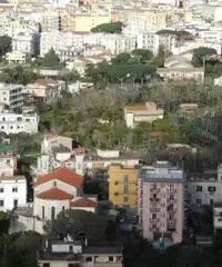 Vendita Agricolo in Via Campitiello Vendita Agricolo in Via Campitiello