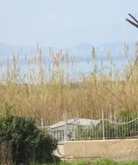 Fusaro: Vendita Multilocale in Traversa I Fusaro Fusaro: Vendita Multilocale in Traversa I Fusaro