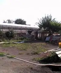 Vendita Agricolo in Via Lava Troia Vendita Agricolo in Via Lava Troia