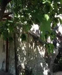 Vendita Bilocale in via torretta fiorillo, 126 Vendita Bilocale in via torretta fiorillo, 126