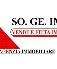 Arpino: Vendita Agricolo in via lufrano arpino Arpino: Vendita Agricolo in via lufrano arpino