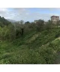 Arola: Vendita Multilocale da 130mq Arola: Vendita Multilocale da 130mq